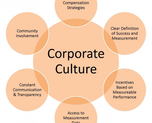 PLAN CAMPAIGNS-CORPORATE CULTURE
